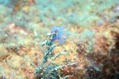 57511905_455198955022779_5142099052722865232_n