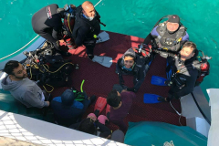 58408950_650144798760168_8316026577705132869_n